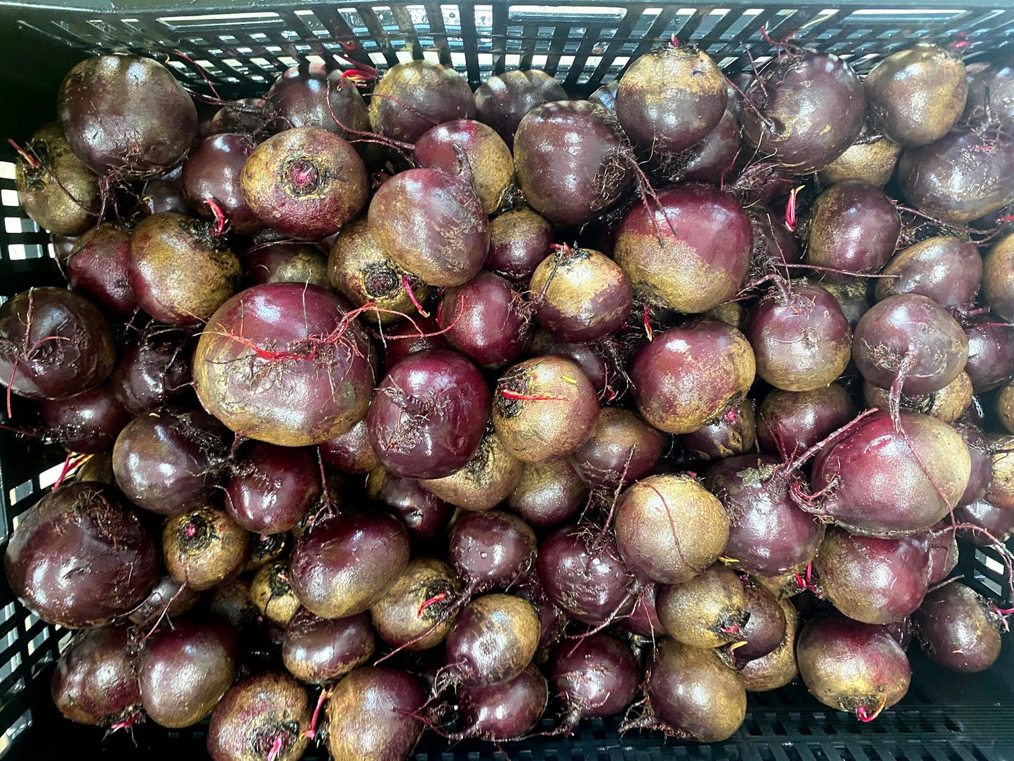Bulk Produce