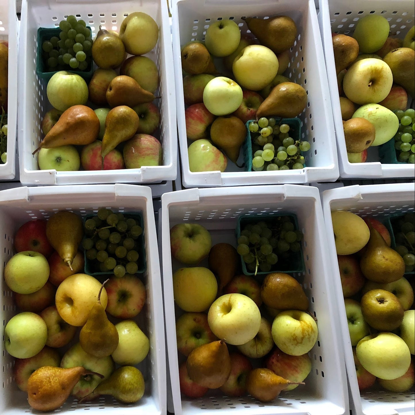 Spring, Summer & Fall Fruit Package (2026)