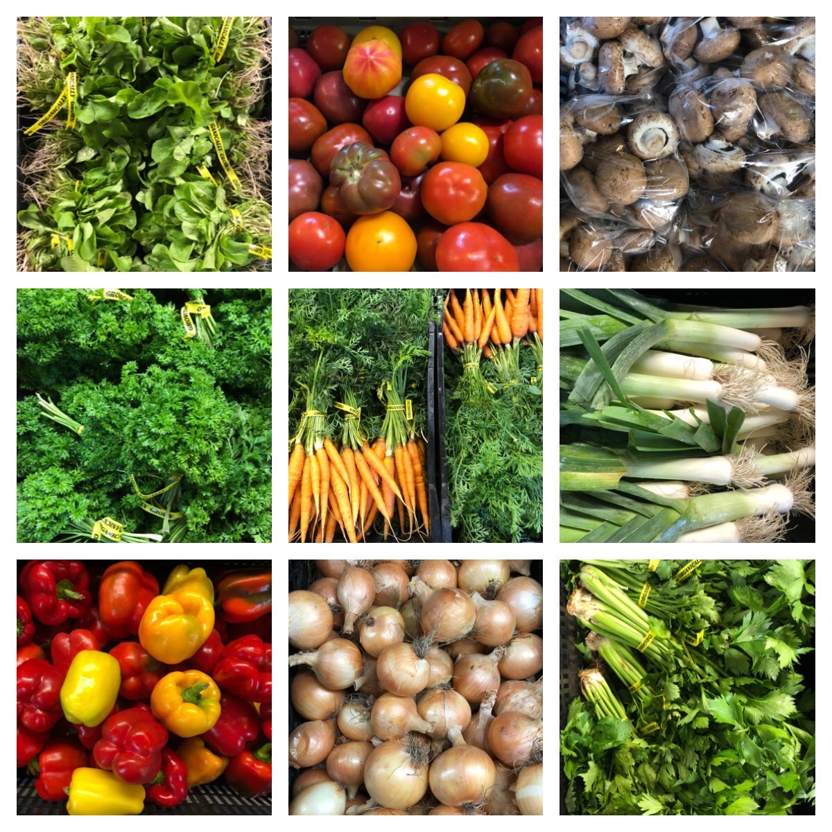 Spring, Summer & Fall Vegetable Package (2026)