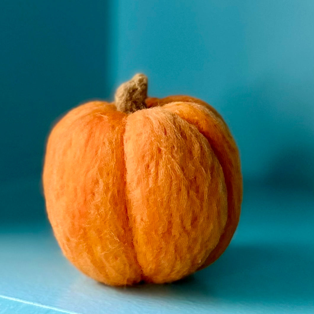 Small orange pumpkin on a blue background