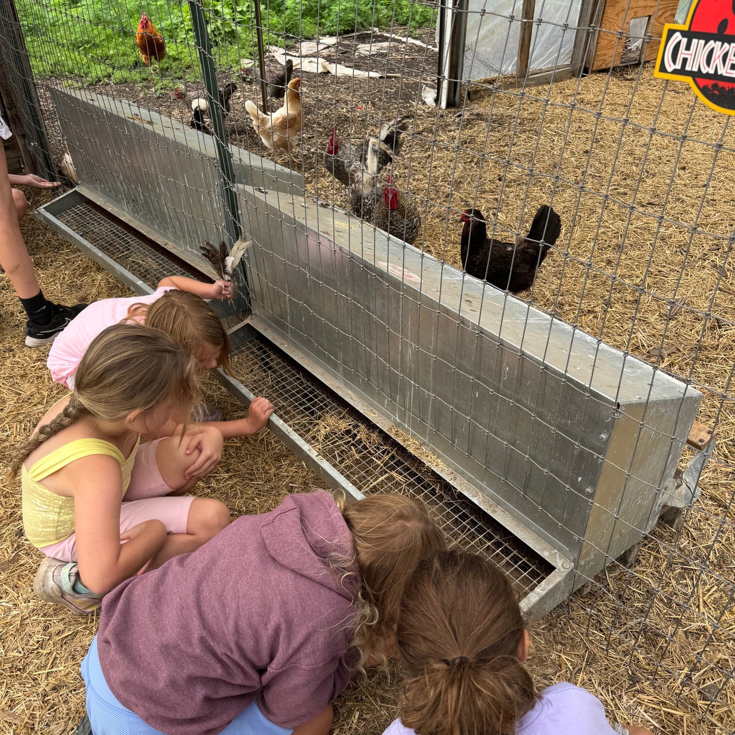 Fall Farm Day Camp - Tuesday, September 23rd and Friday, October 10th