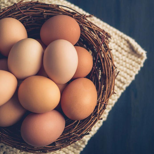 Summer (Early + Late Summer) & Fall Egg Package (2024)