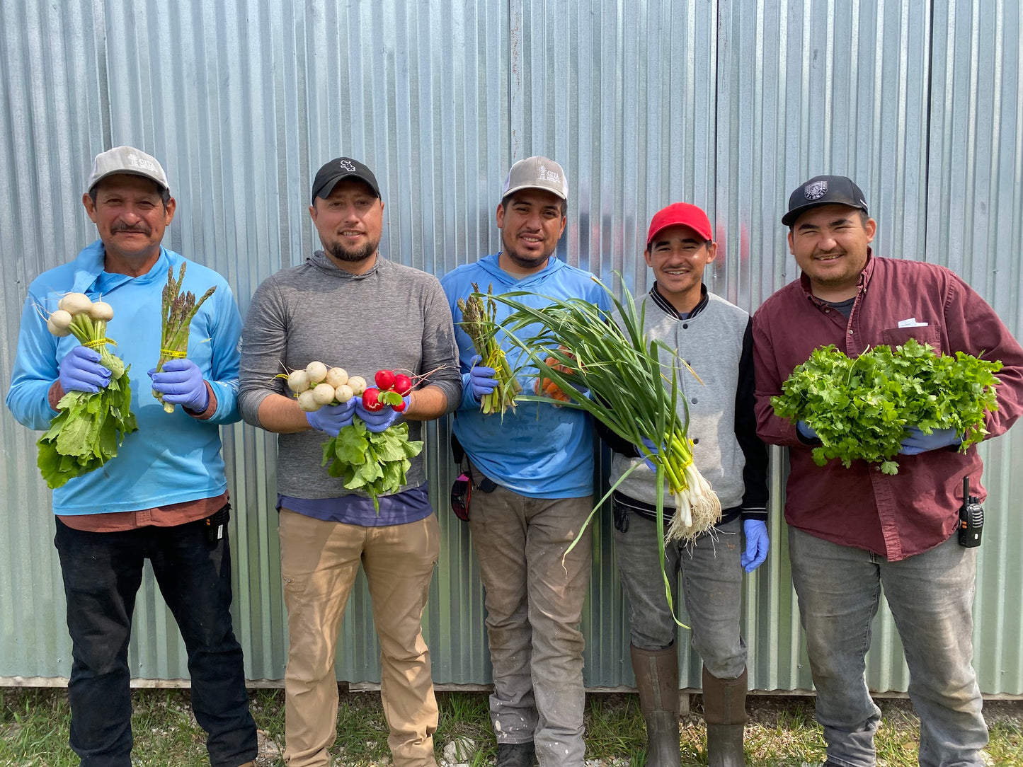 Spring, Summer & Fall Vegetable Package (2026)